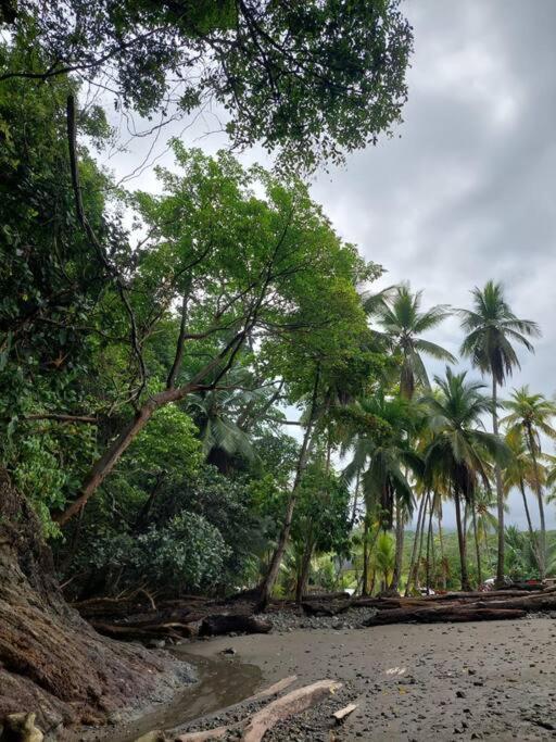 Casa Bahia Ale, Bahia Ballena Uvita Buitenkant foto